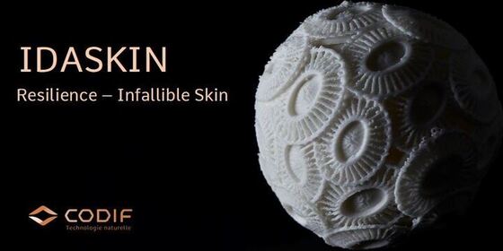 Idaskin: il principio attivo per una pelle infallibile