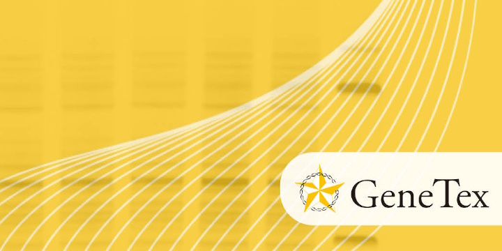 WESTERN BLOT TRIAL KITS GRATIS